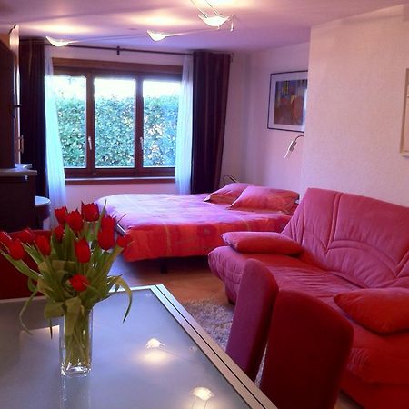 Appartement Lydie Le Landeron Zewnętrze zdjęcie